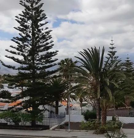 El Chaparral Studio-appartement With Fantastic Pool- View And Wifi דירה